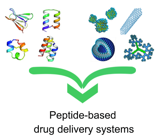 Peptides vs. Protein: What's the Difference?